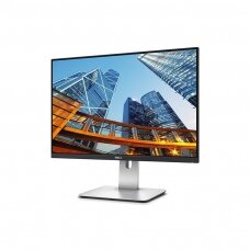 DELL UltraSharp U2415 (24.1", IPS WUXGA 1920 x 1200x 60 Hz, DP, VGA)